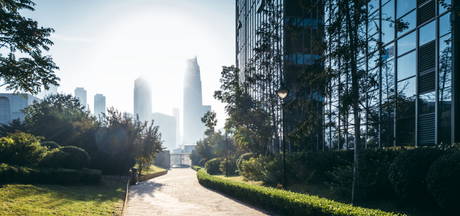 stage lavoro allianz trade repubblica stagisti