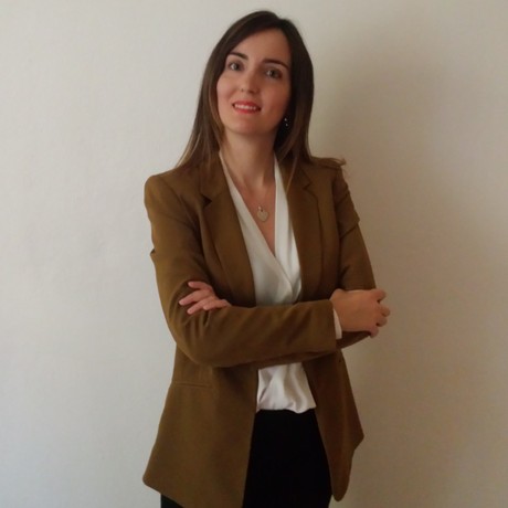 stage lavoro everis